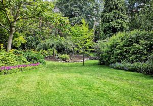 Optimiser l'expérience du jardin à Abaucourt